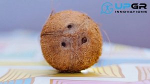 Полезные свойства кокосового молока