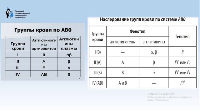 Практическое 9 смотреть онлайн