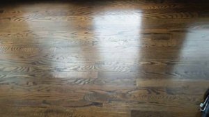 Dirt dragon hardwood floor cleaner