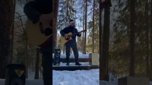 концерт в лесу