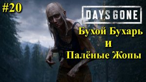 Подпалил жопы орды еле унес свою в DAYS GONE #20 Жизнь после