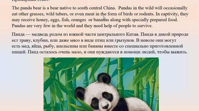 4 класс  Английский язык  Англ  в фокусе  Животным требуется наша помощь! Страница 145, 146