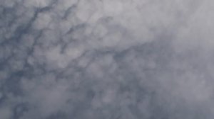 Охота орла на голубей, забирает крупным планом. Eagle takes pigeon.