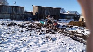 перевозка навоза мотоблоком брайт