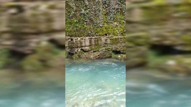 Сказочная природа Краснодарского края весной.
