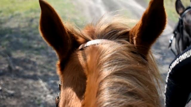 Верховая конная прогулка | "Магия Свободы" смотреть онлайн