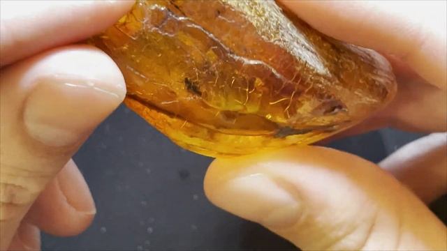 Baltic amber piece with insects giveaway! 500sub special смотреть онлайн