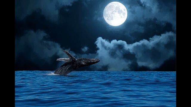 МОИ СТИХИ. К Себе Господь ведет меня! (Тина АНСАРОВА) смотреть онлайн