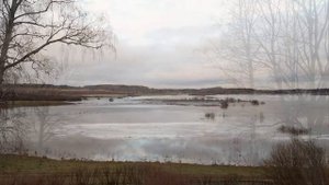 Михайловское (усадьба Пушкиных) 2018