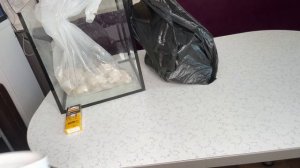 Запуск морского аквариума на СРК за 1 день