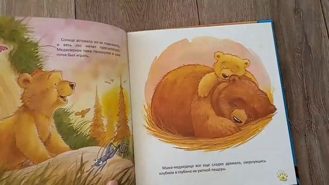 Вы в ожидании чуда? Лучшие книги для ревнивых старших братиков и сестричек! смотреть онлайн