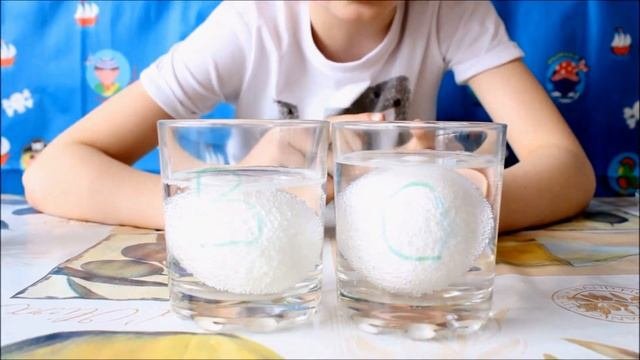 Эксперимент с Яйцами часть 1 Опыт с яйцом Рёбра жёсткости