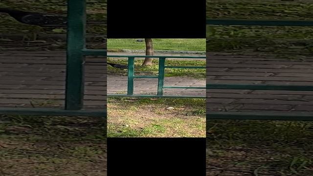 Слежу за голий чек от первого лица