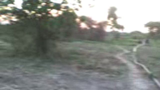 Stevia 1 смотреть онлайн