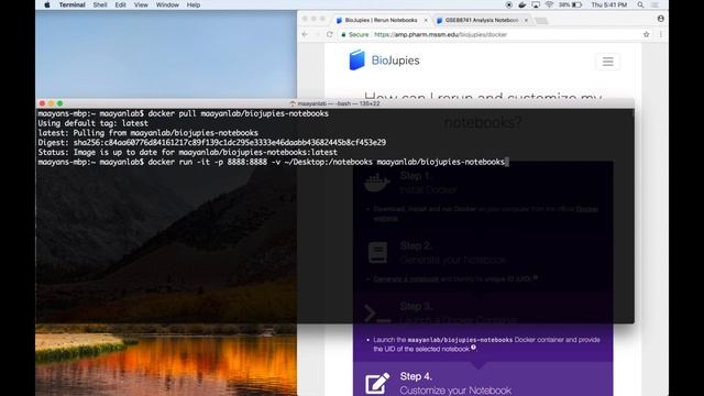 BioJupies Tutorial Part 7 of 8 - Reusing Notebooks смотреть онлайн