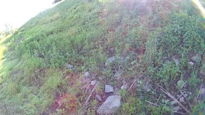 Поиск хищника на реке Сок, село Красный Яр, Самарская область