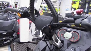 2017 мг.  LYNX BRP 69 RANGER ARMY LTD видеообзор снегохода