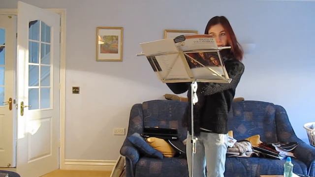 'Dinner is Served' from Pirates of the Caribbean on flute смотреть онлайн