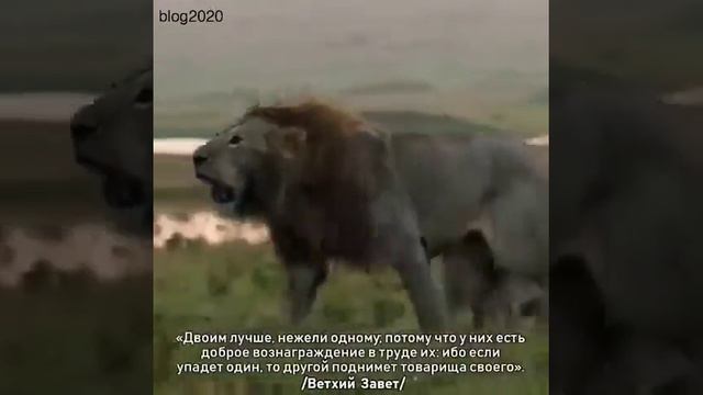 Поддержка родных людей очень важна! #брат #родные #сестра #поддержка