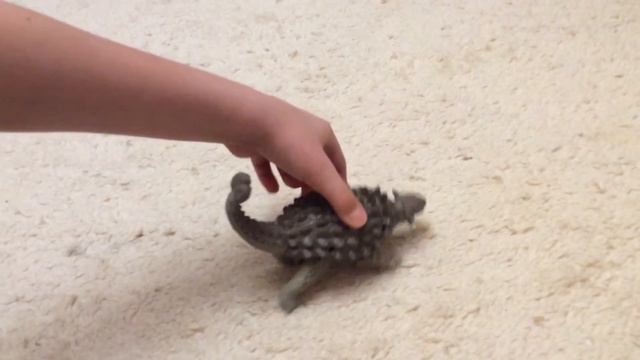 Анкилозавр- игрушка и животное