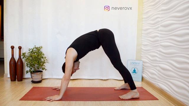 Поза собаки мордой вниз. Адхо Мукха Шванасана. Техника выполнения и частые ошибки. смотреть онлайн