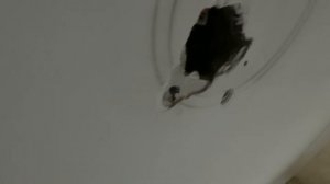 LED светильник тускло горит | Вызов электрика на дом | Монтаж обычной лампы