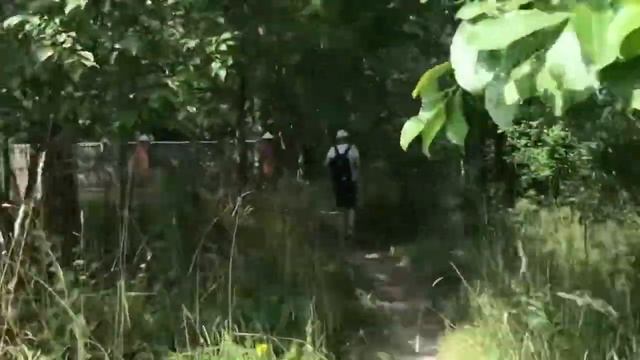 1часть. Где купаются в Подмосковье? Пешком до пляжа. Дача Аллы Пугачёвой. смотреть онлайн