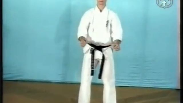 Техника карате КИОКУШИНКАЙ. Часть 10. смотреть онлайн