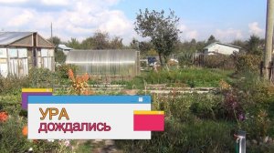 Все по немножку Дети приехали