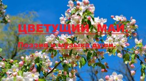 ЦВЕТУЩИЙ МАЙ. Автор стихотворения и видео А. Соколов.