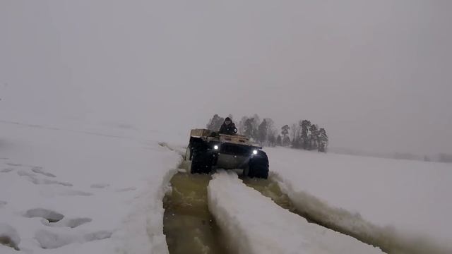 Думали не вернёмся!! смотреть онлайн