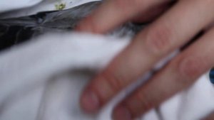 Как поставить голубю подкожный укол ✿ Give a subcutaneous injection to a pigeon