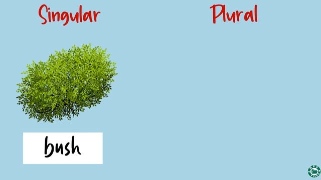 Singular and Plural Nouns | By adding ES to form plurals | Mps Files