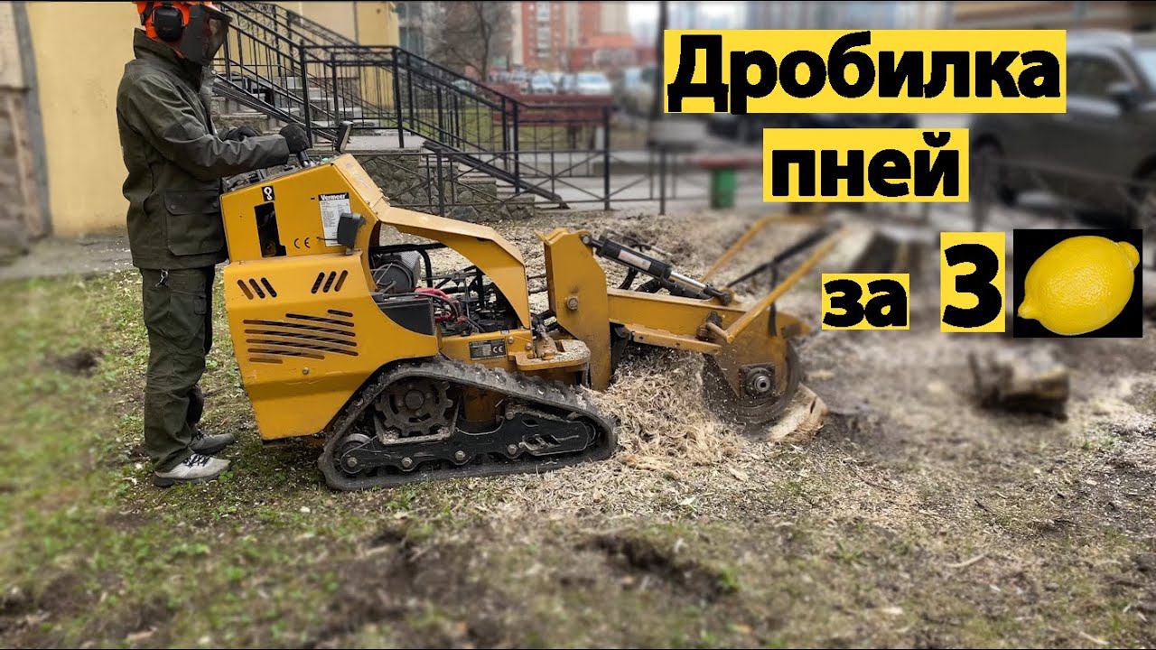 Дробилка пней Vermeer в работе