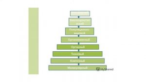 Уровни организации живого