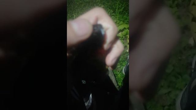 ЧАРОН БЕЙБИ ПЛЮС ШИПИТ/НЕ ЗАТЯГИВАЕТСЯ смотреть онлайн