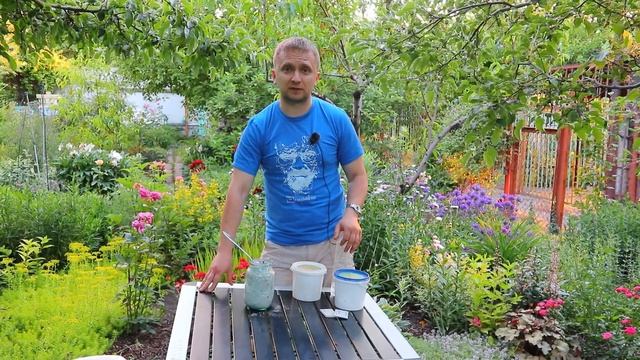 ПРИМЕНЯТЬ ИЛИ НЕ ПРИМЕНЯТЬ ДРЕВЕСНУЮ ЗОЛУ. ПОМОЩЬ РАСТЕНИЯМ ПРИ ХЛОРОЗЕ. смотреть онлайн