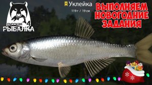 ФАРМ ДЛЯ НОВИЧКА И ЗАКРЫТИЕ ЗАДАНИЙ НОВОГОДНИЕ МЕШКИ УКЛЕЙКА ЕЛЕЦ ГОЛАВЛЬ НА ВЬЮНКЕ РУССКАЯ РЫБАЛКА
