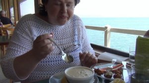США 431: американский морской лев ревел на гостей из Казахстана - документальные кадры