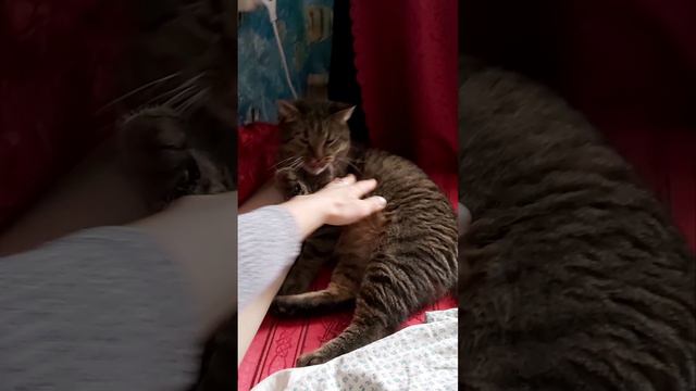 Запачкаю смотреть онлайн