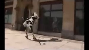 Cow Song - I like to move it