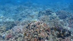 Секретный пляж Биас-Тугал на Бали (Secret Beach, Bias Tugal) - Белоснежные пляжи