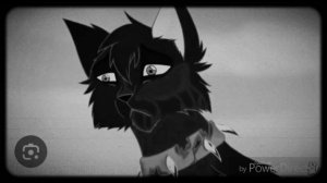 (эдит) 
бич и пепелица коты воители