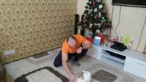 Обучение щенка простым командам. Сделано.