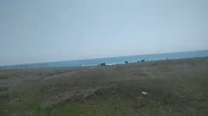 Поездка в Абхазию село Алахадзы!