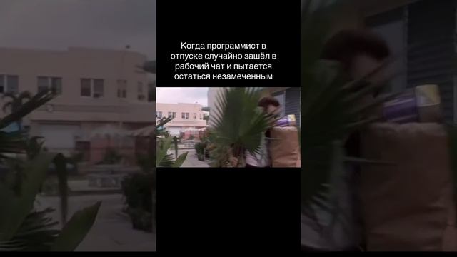 Когда программист в отпуске случайно зашёл в рабочий чат