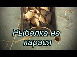 Рыбалка на Карася, последний лёд. Благодатка