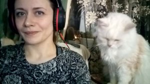 Кот просит его погладить