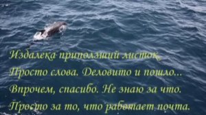 Письмо из Бухты Н