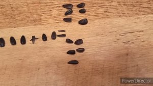 Джулька счетовод